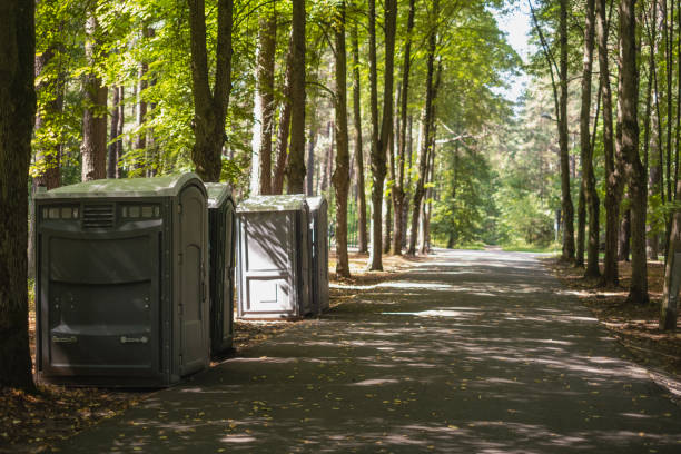 Best Luxury portable toilet rental  in Picacho Hills, NM